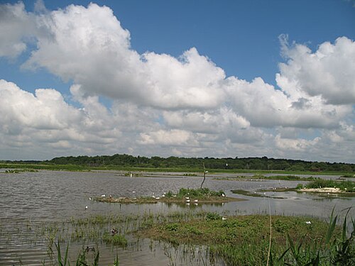 RSPB Minsmere